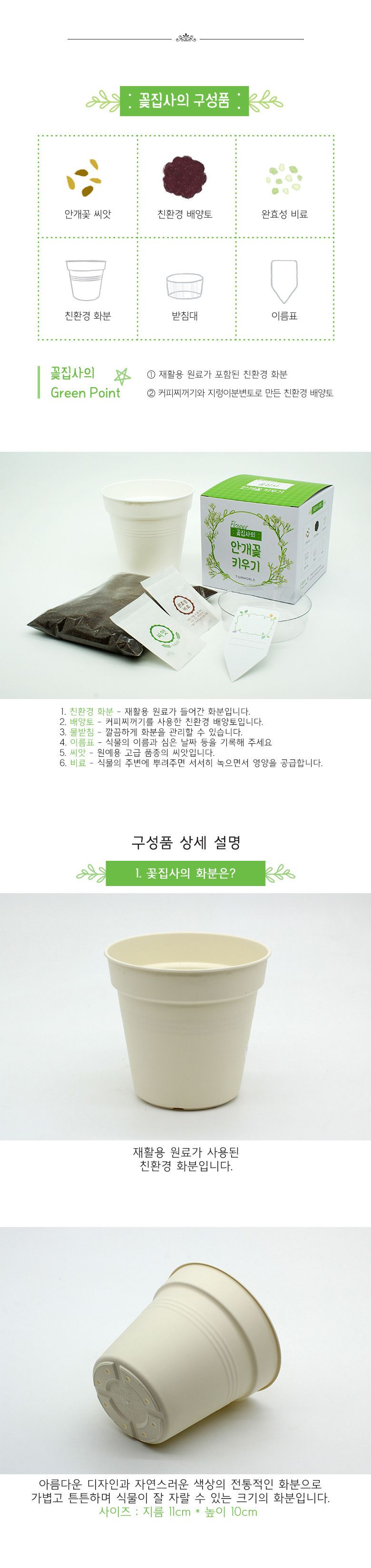 M꽃집사 _ 안개꽃 키우기/씨앗모종/씨앗재배/씨앗심기/씨앗키우기/키우기좋은식물/키우기쉬운식물/식물키우