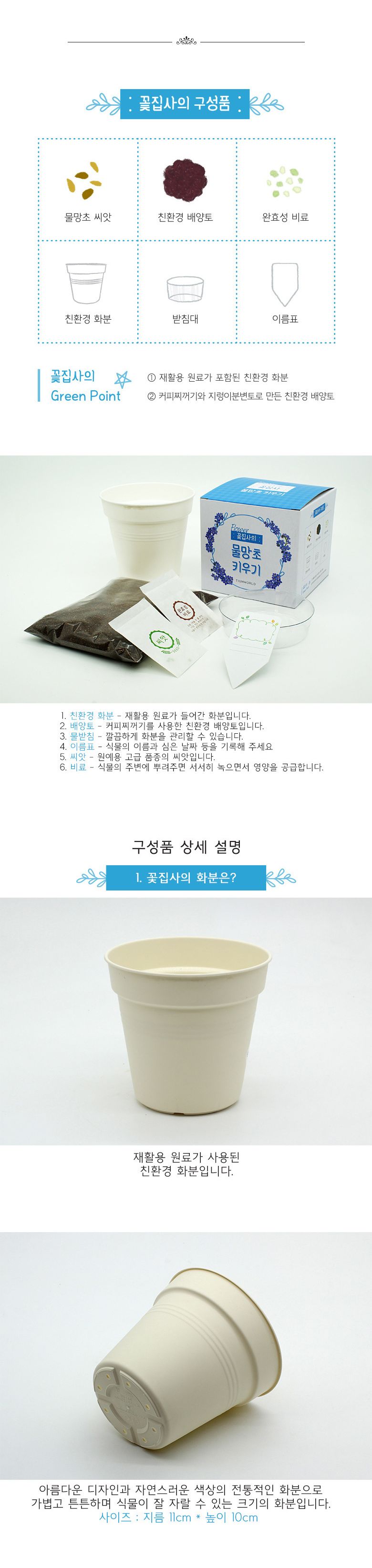 M꽃집사 _ 물망초 키우기/씨앗모종/씨앗재배/씨앗심기/씨앗키우기/키우기좋은식물/키우기쉬운식물/식물키우
