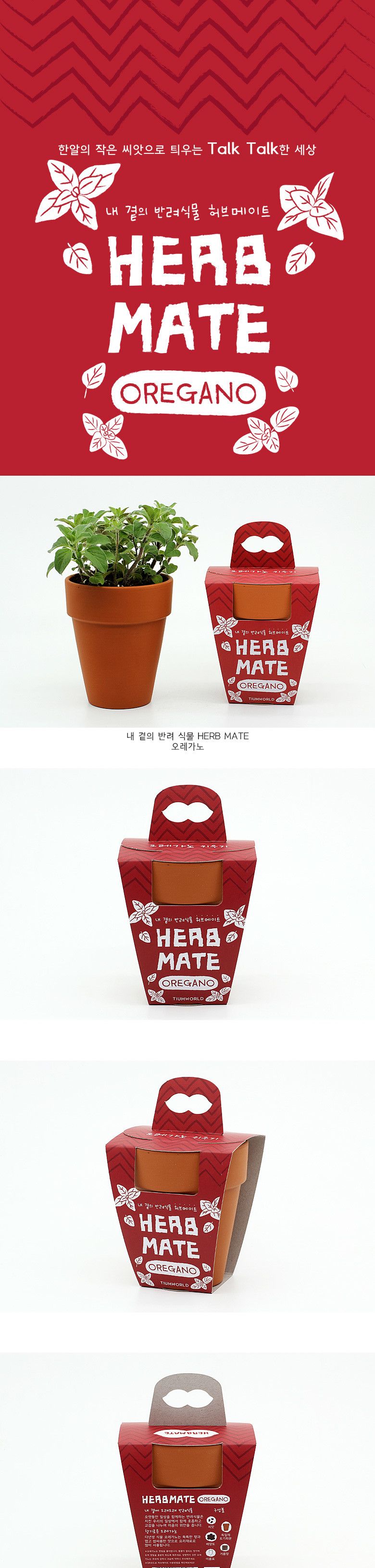 M허브메이트_오레가노/씨앗재배/씨앗심기/씨앗키우기/씨앗/단체선물/어린이집선물/반려식물/꽃키우기/대량