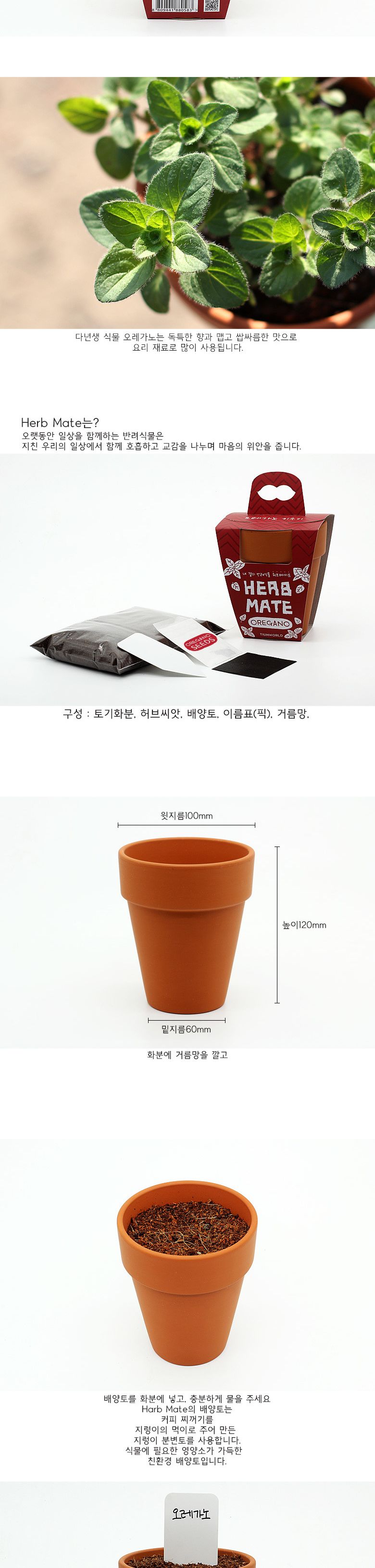 M허브메이트_오레가노/씨앗재배/씨앗심기/씨앗키우기/씨앗/단체선물/어린이집선물/반려식물/꽃키우기/대량