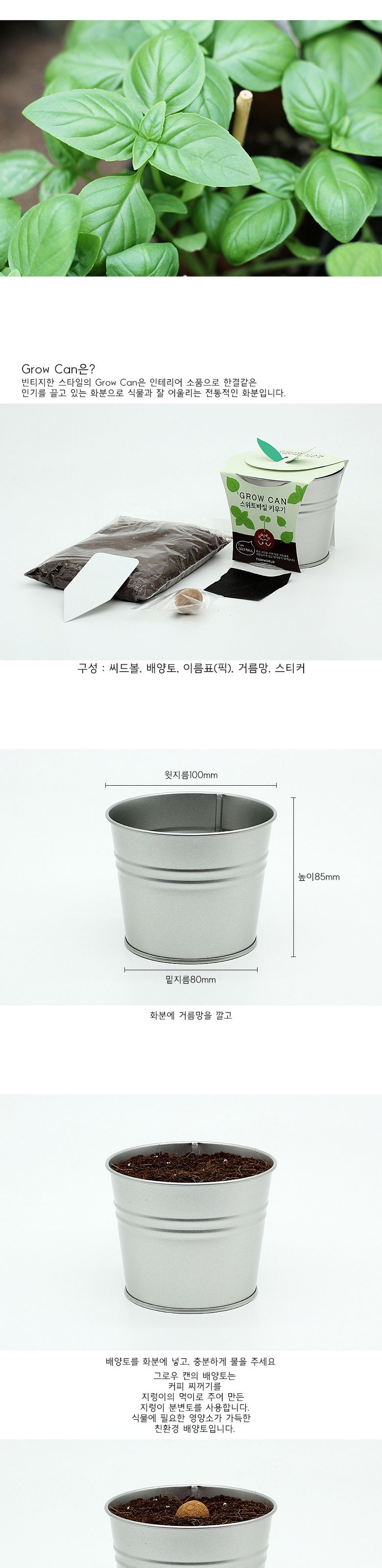 M그로우캔 스위트바질/스위트바질/바질키우기/스위트바질키우기/씨앗키우기/씨앗재배/원예씨앗/식물/식물키