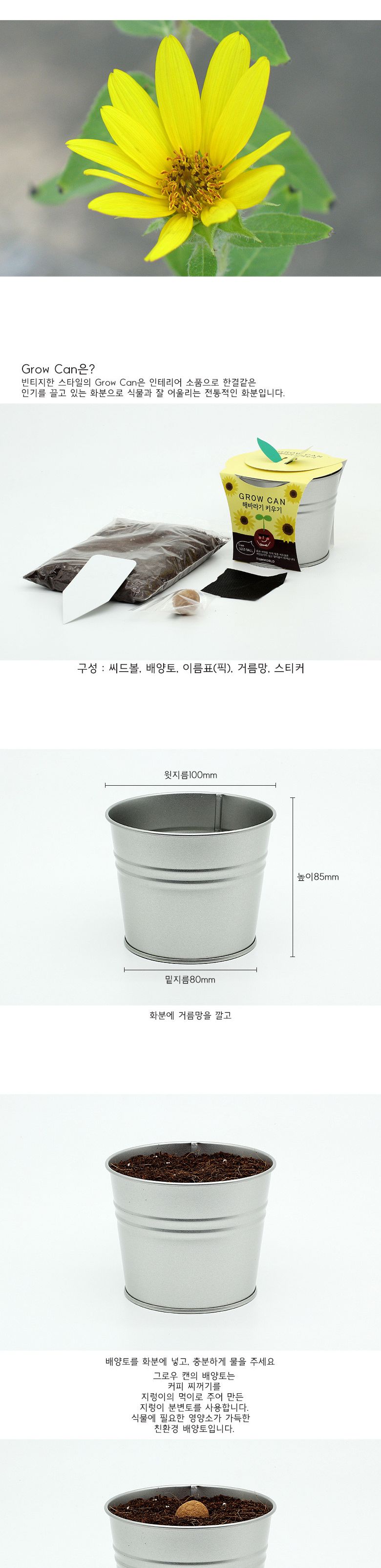 M그로우캔 미니 해바라기/미니해바라기/해바라기/미니해바라기키우기/미니해바라기씨/씨앗키우기/씨앗재배/