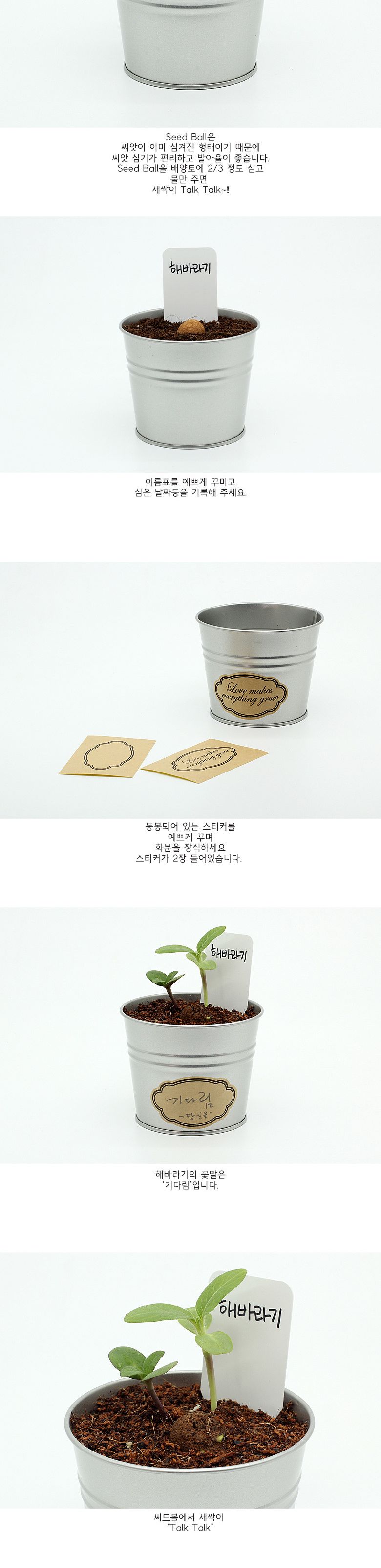 M그로우캔 미니 해바라기/미니해바라기/해바라기/미니해바라기키우기/미니해바라기씨/씨앗키우기/씨앗재배/