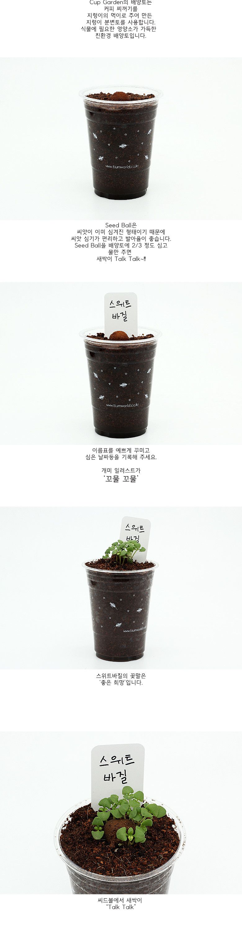 M컵가든_스위트바질/바질/바실키우기/스위트바질/스위트바실/바질키우기/셰프가든/요리에쓰는허브/가정용텃