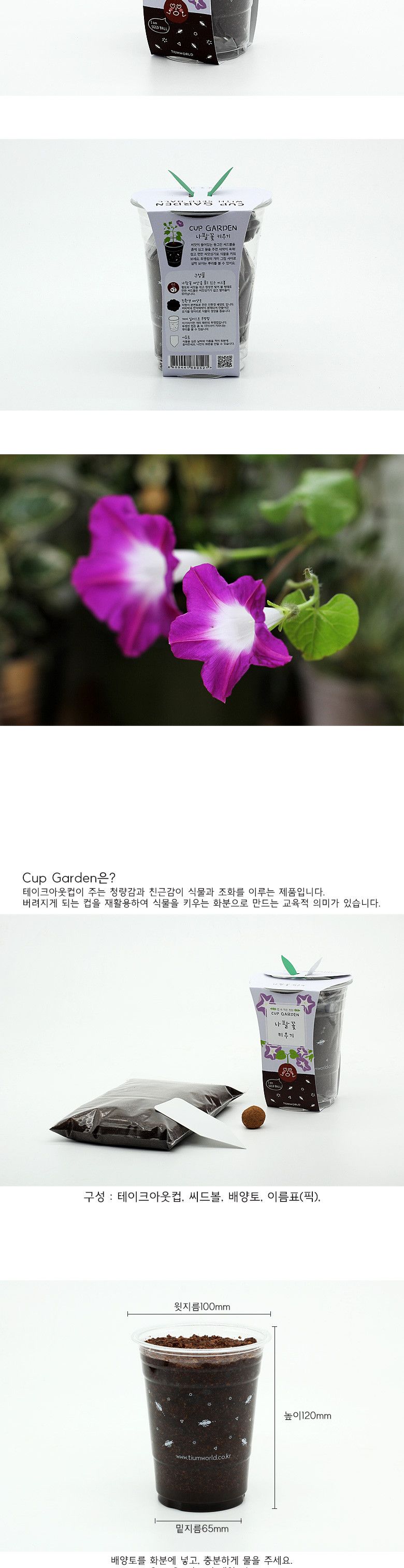 M컵가든_나팔꽃/나팔꽃/컵가든/식물키우기/씨앗모종/씨앗재배/씨앗키우기/씨앗심기/키우기좋은식물/키우기