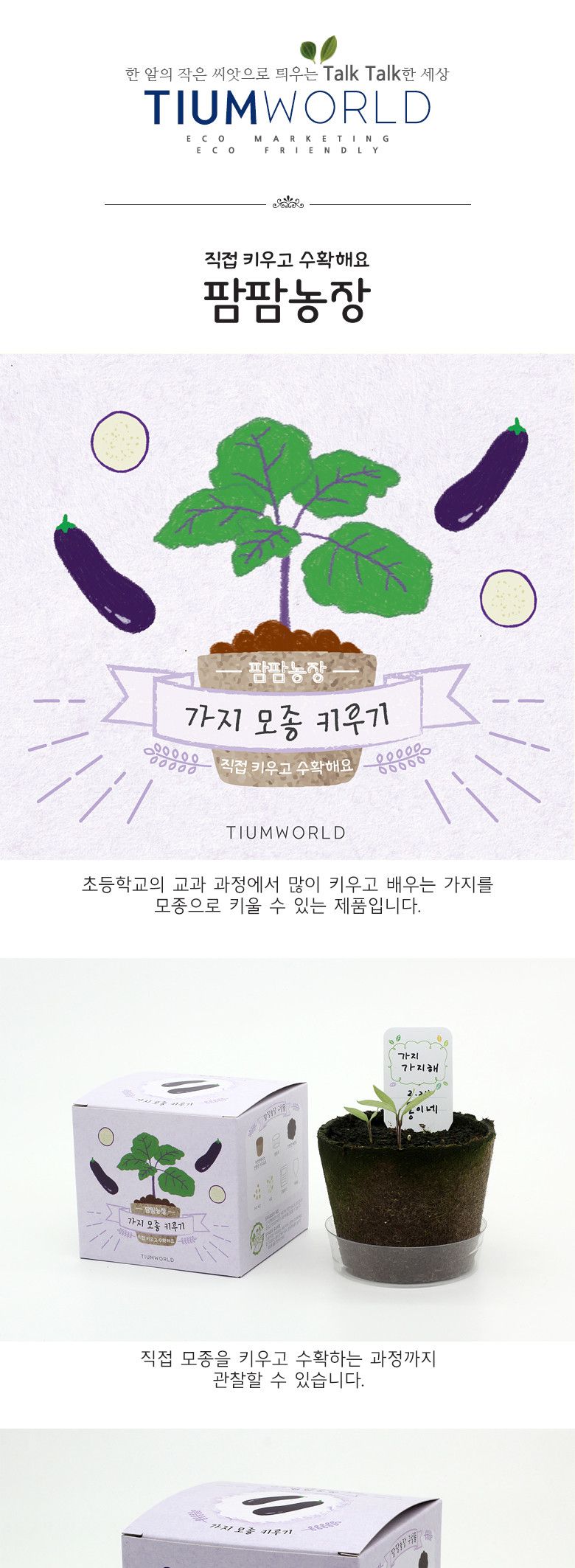 M팜팜농장_가지 모종키우기/식물키우기/식물기르기/한컵새싹/컵식물/식물관찰/관찰학습/과학실험/꽃기르기/
