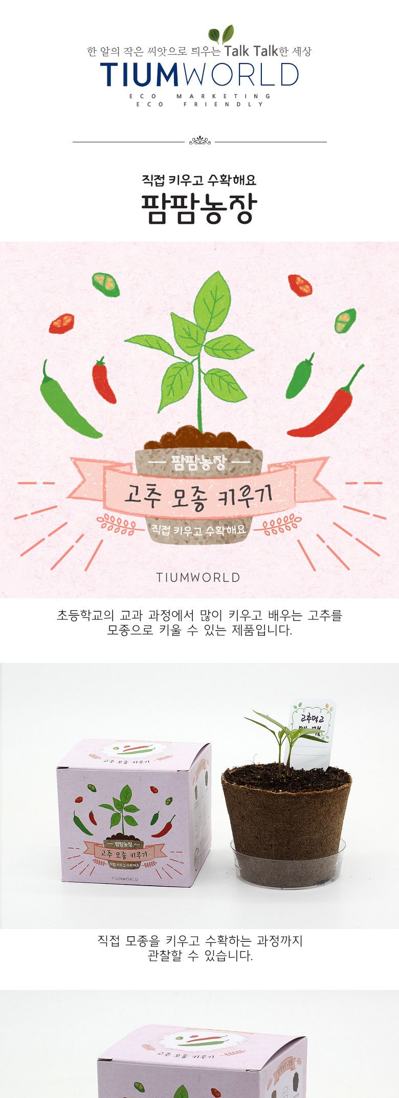 M팜팜농장_고추 모종키우기/식물키우기/식물기르기/한컵새싹/컵식물/식물관찰/관찰학습/과학실험/꽃기르기/