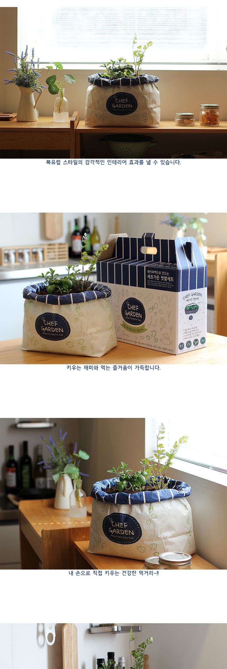 M셰프가든/텃밭/텃밭세트/텃밭키우기/씨앗키우기/씨앗재배/원예씨앗/식물/식물키우기/씨앗/식물씨앗