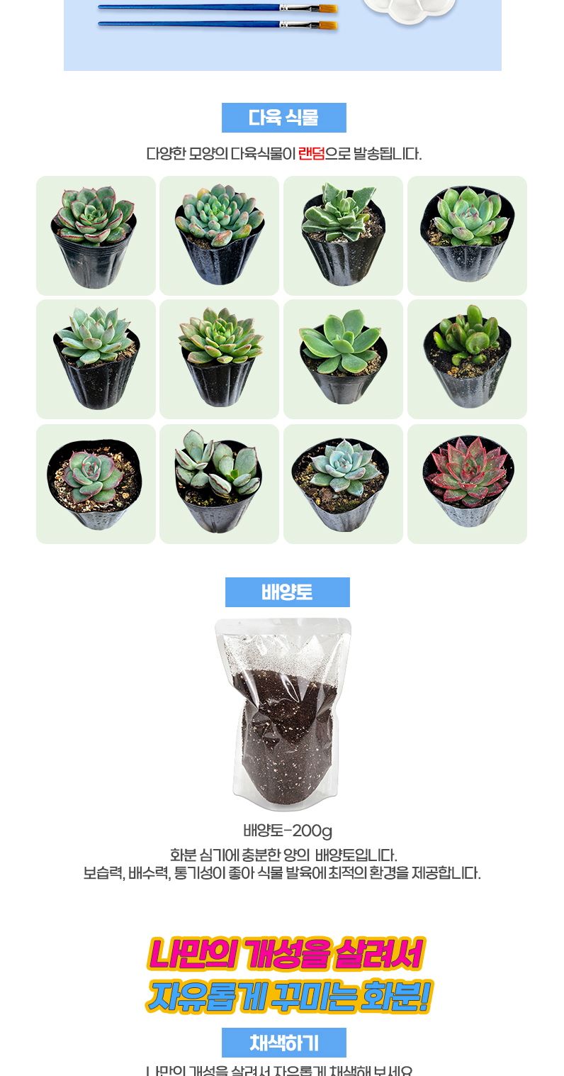 다육식물 얼굴화분 꾸미기세트/화분만들기/미술재료/화분꾸미기/만들기놀이/미술놀이/화분장식/공작놀이