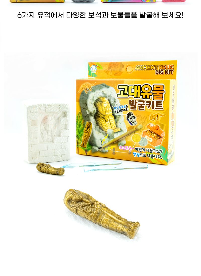 탐험 발굴키트 6개/화석발굴/발굴키트/공룡/공룡화석/학습완구/과학완구/역할놀이/어린이선물/단체선물/판