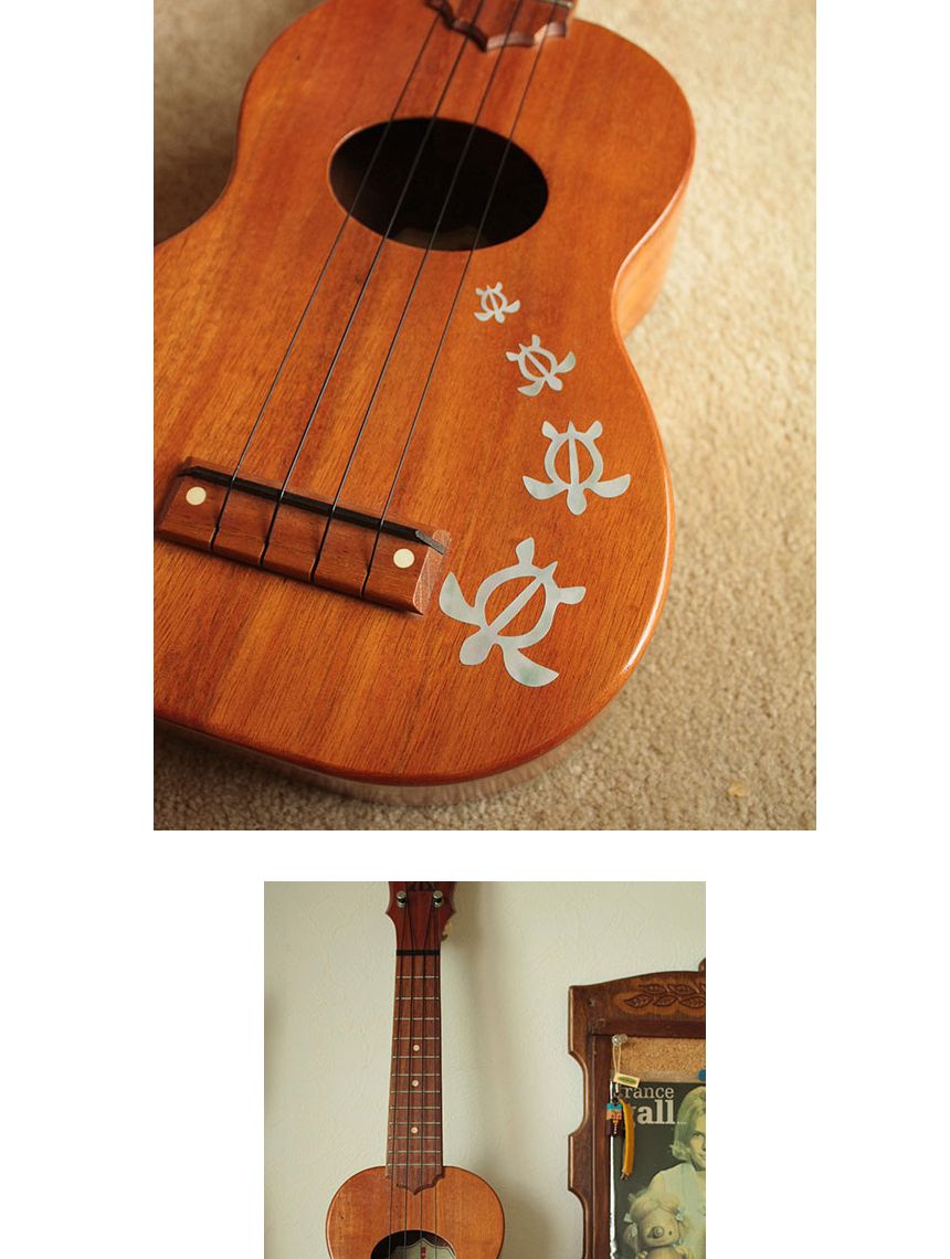 Honu 악기스티커 Family-WP Ukul 스티커 악기소품/기타꾸밈스티커/기타장식소품/악기데코/기타데코/악기스