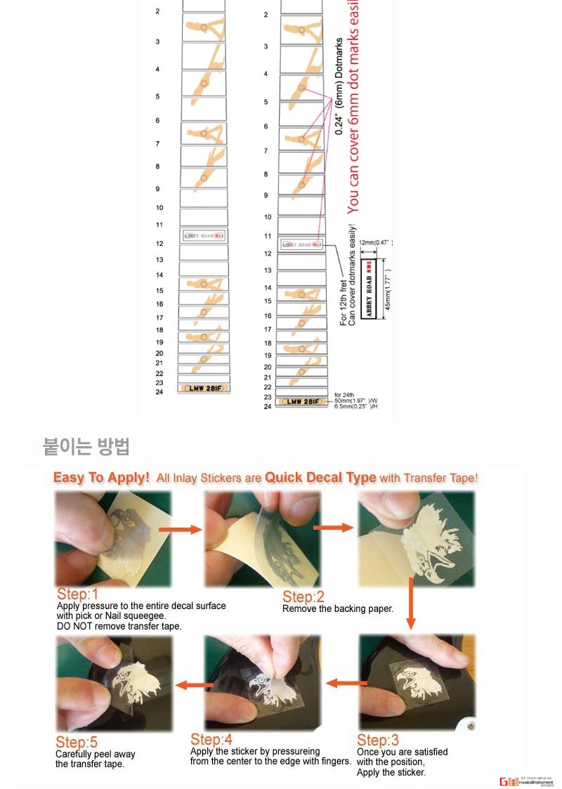 Abbey Road Beatles Contemporary 악기스티커 스티커/기타꾸밈스티커/기타장식소품/악기데코/기타데코/악기