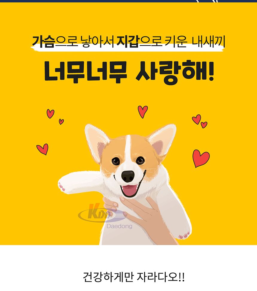 누기 패드 대형 2매/배변패드/소변패드/애견패드/애완용패드/반려동물패드/반려견패드/애견용배변패드/배변