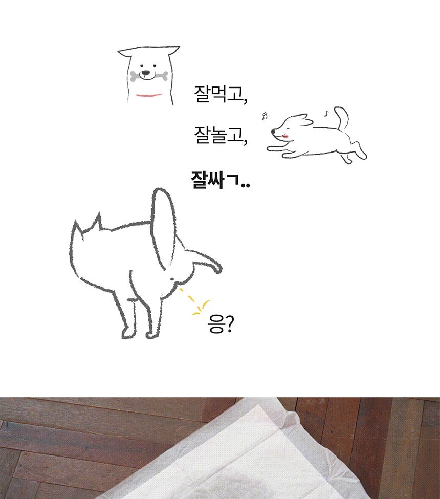 누기 패드 대형 2매/배변패드/소변패드/애견패드/애완용패드/반려동물패드/반려견패드/애견용배변패드/배변