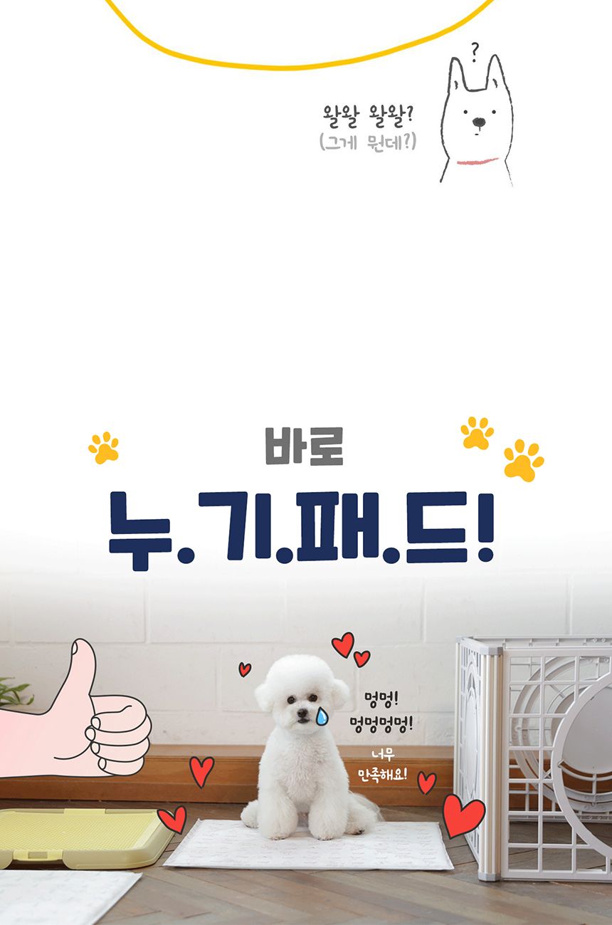 누기 패드 대형 2매/배변패드/소변패드/애견패드/애완용패드/반려동물패드/반려견패드/애견용배변패드/배변