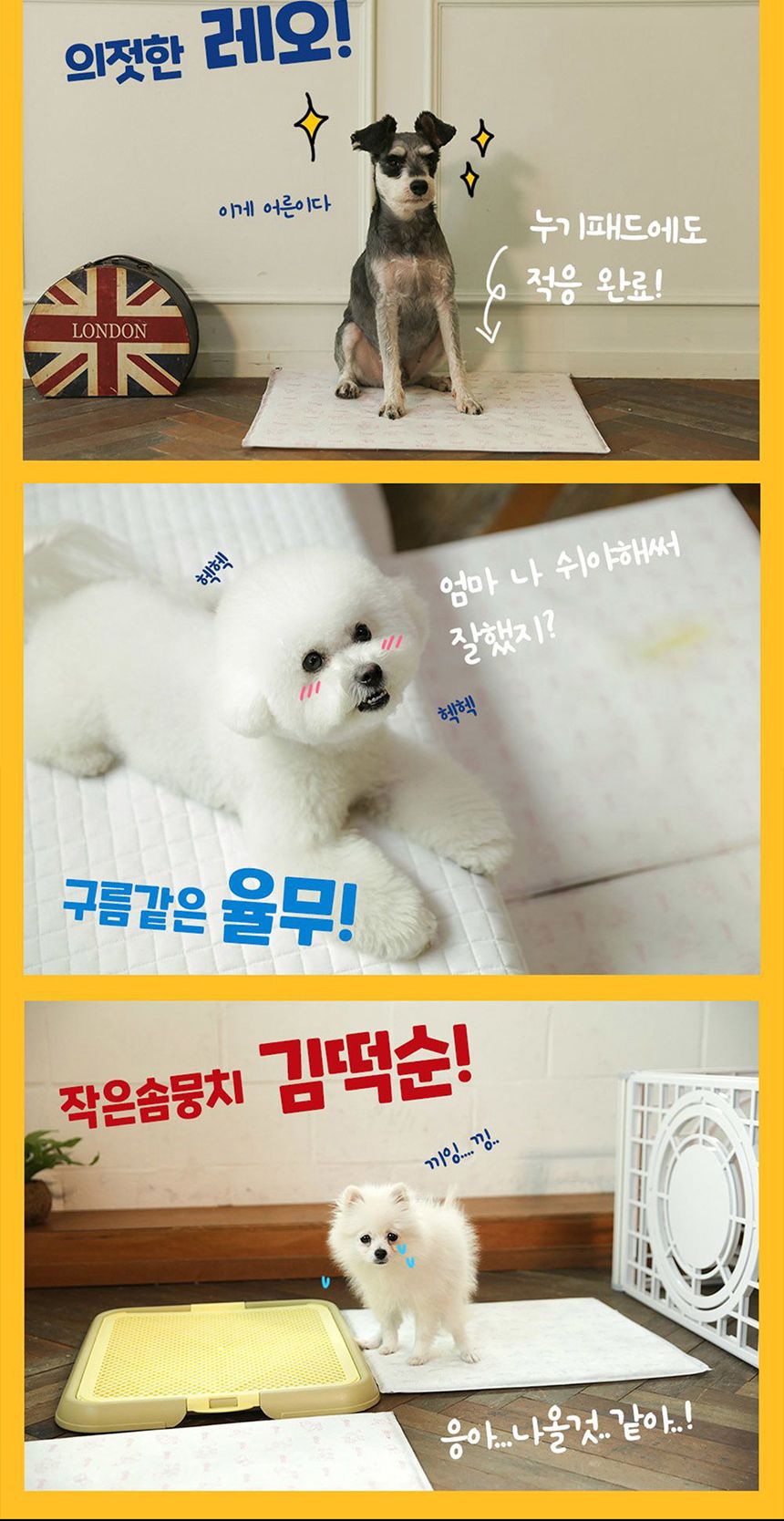 누기 패드 대형 2매/배변패드/소변패드/애견패드/애완용패드/반려동물패드/반려견패드/애견용배변패드/배변