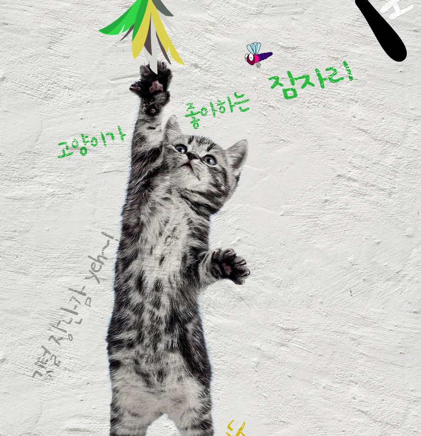 WK 쥬쥬베 2단 낚시대(잠자리)핑크 2p/고양이장난감/애묘장난감/애완묘장난감/반려묘장난감/캣장난감/애묘