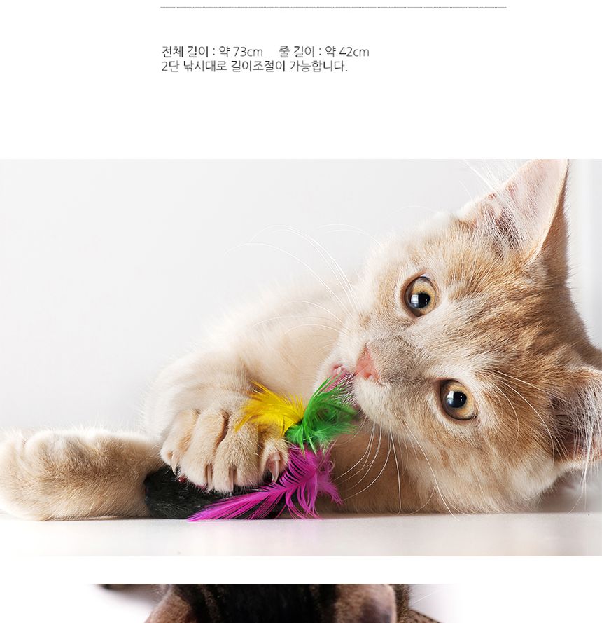 WK 쥬쥬베 2단 낚시대(잠자리)핑크 2p/고양이장난감/애묘장난감/애완묘장난감/반려묘장난감/캣장난감/애묘