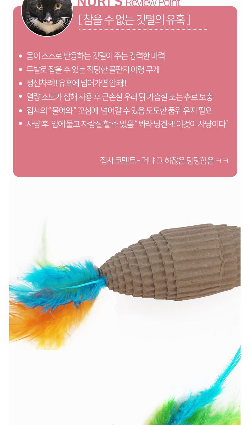 캣프랜드 스크레쳐볼 2p(C109)/스크래쳐볼/고양이스크래쳐볼/애묘스크래쳐볼/캣스크래쳐볼/펫스크래쳐볼/고