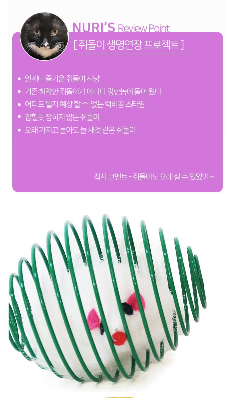 캣프랜드 스크레쳐볼 2p(C109)/스크래쳐볼/고양이스크래쳐볼/애묘스크래쳐볼/캣스크래쳐볼/펫스크래쳐볼/고