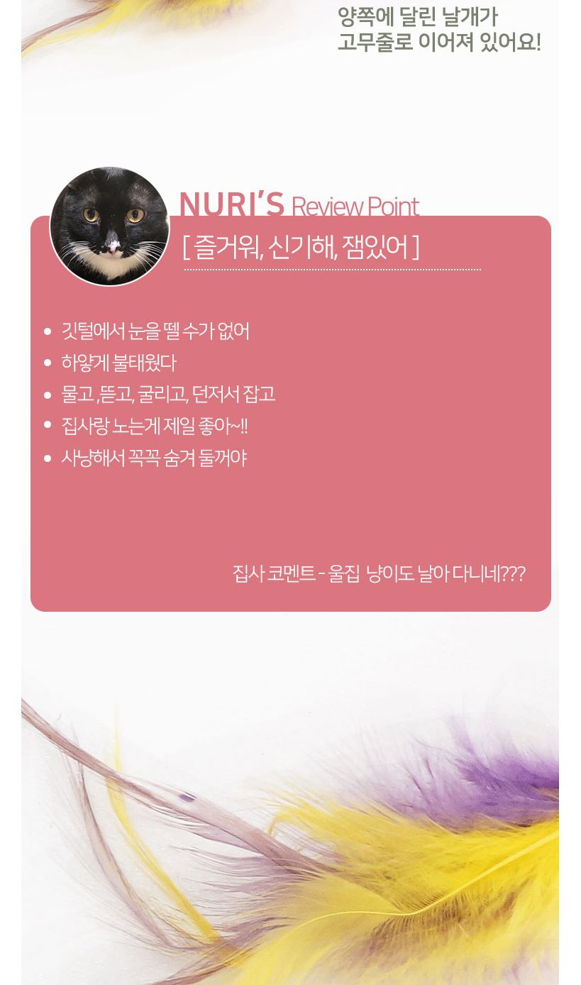 캣프랜드 스크레쳐볼 2p(C109)/스크래쳐볼/고양이스크래쳐볼/애묘스크래쳐볼/캣스크래쳐볼/펫스크래쳐볼/고