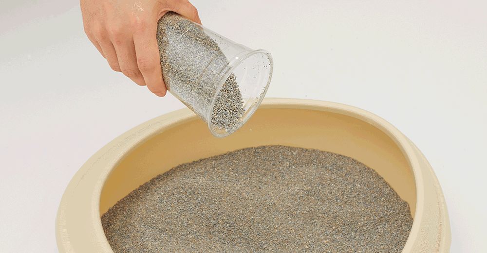 이나바 챠오샌드 벤토나이트 4.5kg/고양이모래/반려묘모래/캣모래/고양이화장실/변기모래/캣화장실/응고형