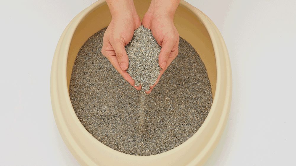 이나바 챠오샌드 벤토나이트 4.5kg/고양이모래/반려묘모래/캣모래/고양이화장실/변기모래/캣화장실/응고형
