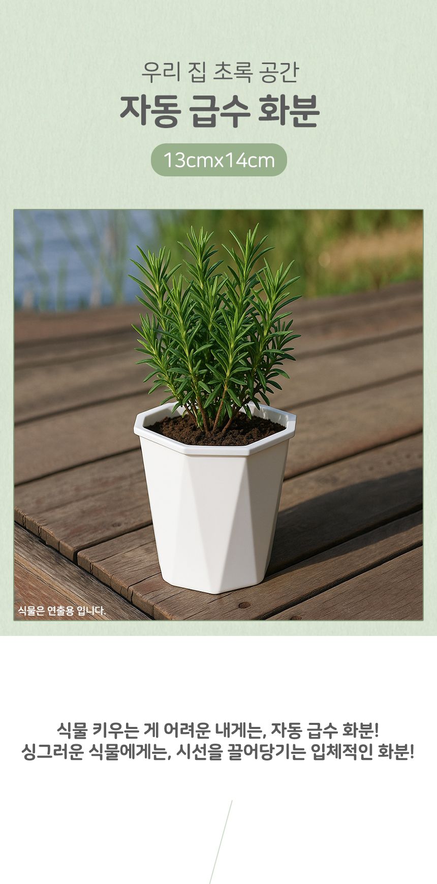 팜팜정원 자동급수 화분 2p세트 13x14cm/자동화분/물주는화분/소형화분/실내화분/미니화분/다육이화분