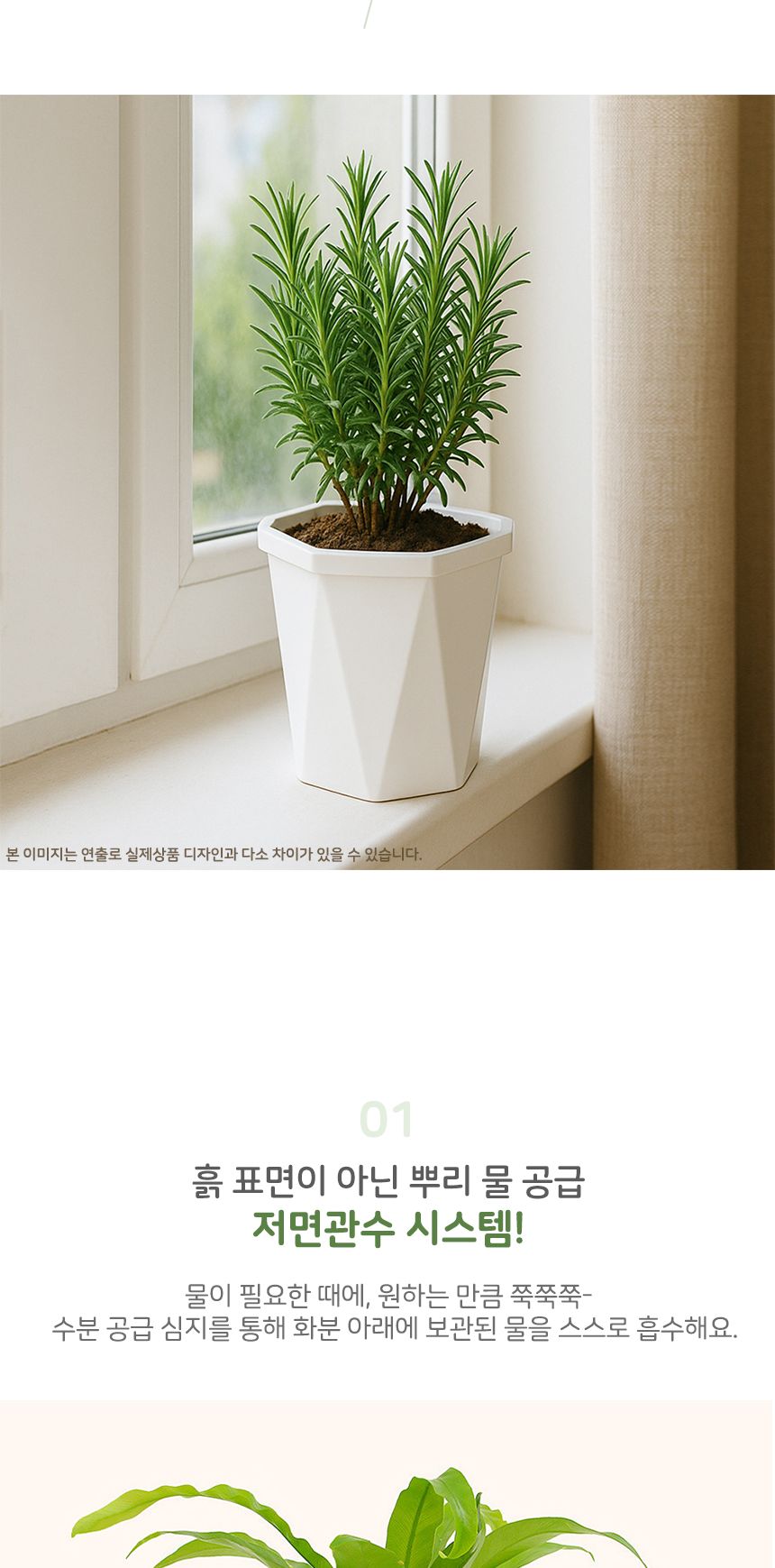 팜팜정원 자동급수 화분 2p세트 13x14cm/자동화분/물주는화분/소형화분/실내화분/미니화분/다육이화분