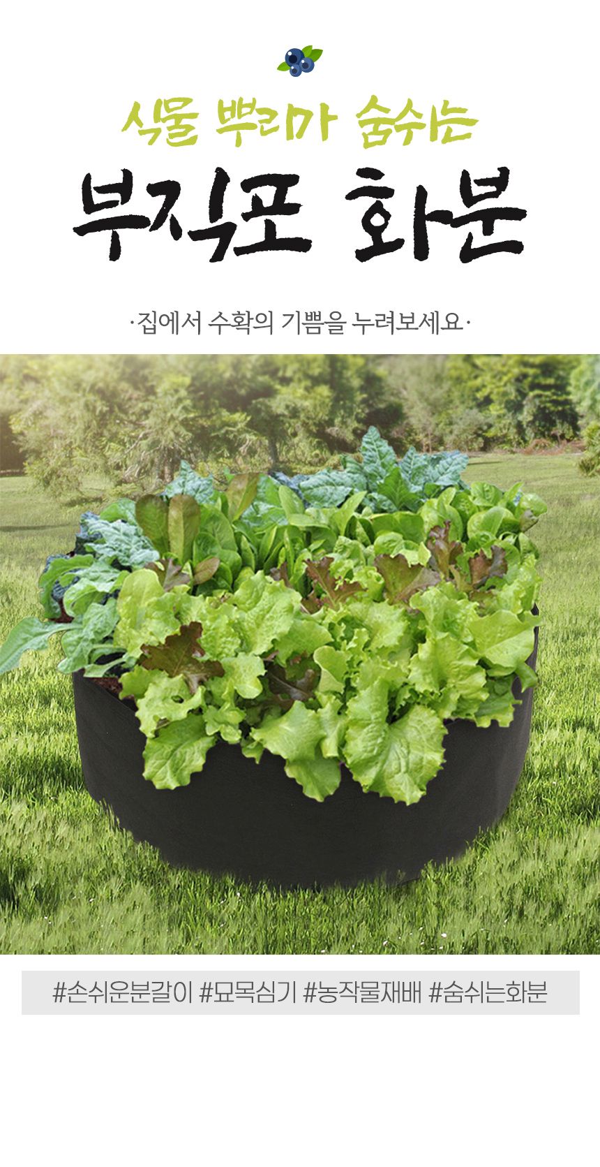 초록가든 베란다 텃밭 부직포 화분(70x30cm) (블랙)/부직포화분/블루베리화분/대형부직포화분/대형블루베리
