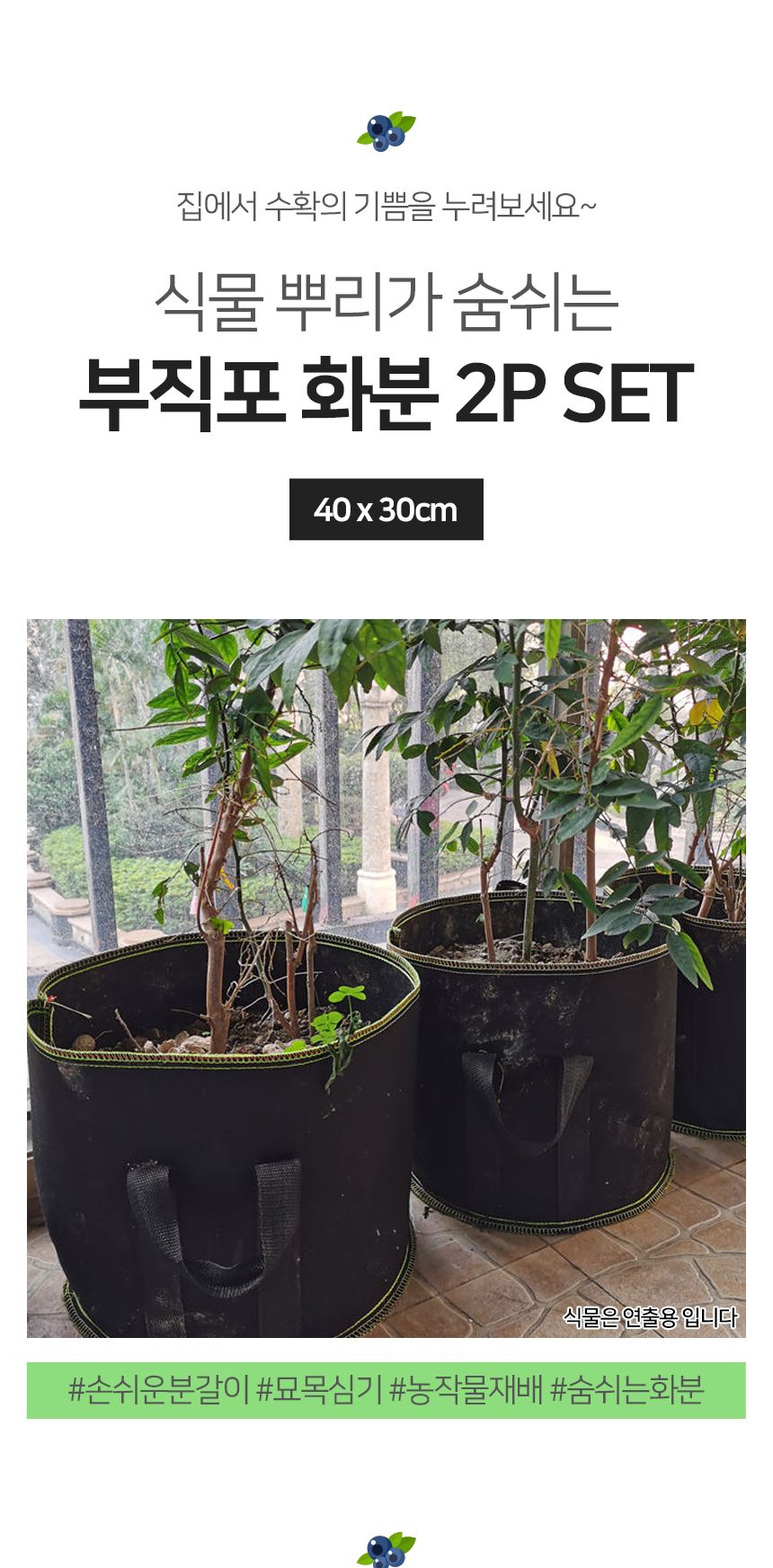 베란다 텃밭 대형 부직포 화분 2p세트(40x30cm) (블랙+그린)/부직포화분/장식화분/디자인화분/실내화분/식