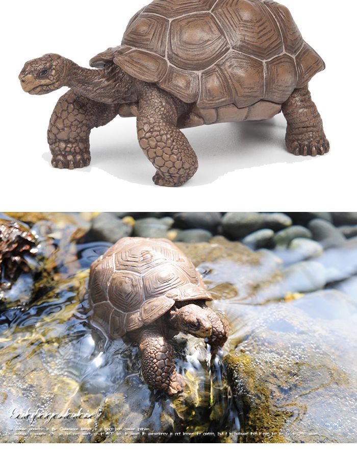 파포 동물 모형완구 갈라파고스 거북/거북이모형/동물모형/모형완구/동물완구/동물장난감/동물모형완구/동