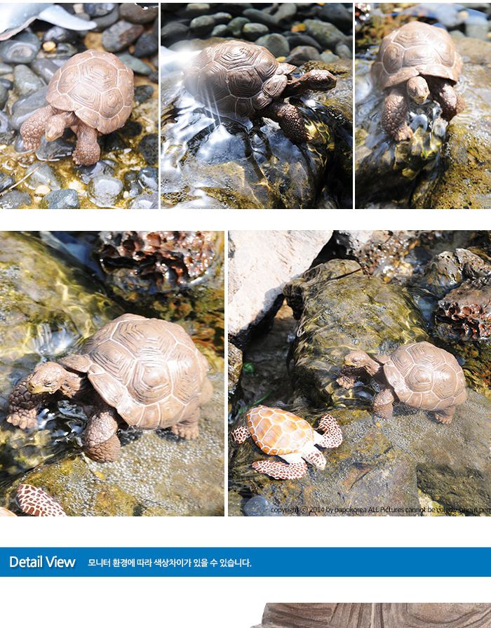 파포 동물 모형완구 갈라파고스 거북/거북이모형/동물모형/모형완구/동물완구/동물장난감/동물모형완구/동