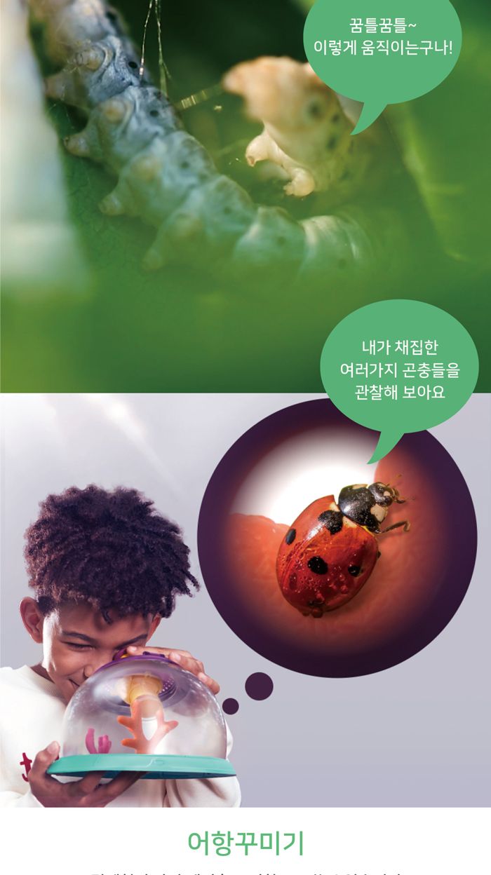 탑브라이트 곤충물고기 뷰어 (120480)/채집통/곤충채집통/물고기채집통/관찰채집통/관찰통/곤충관찰통/물고