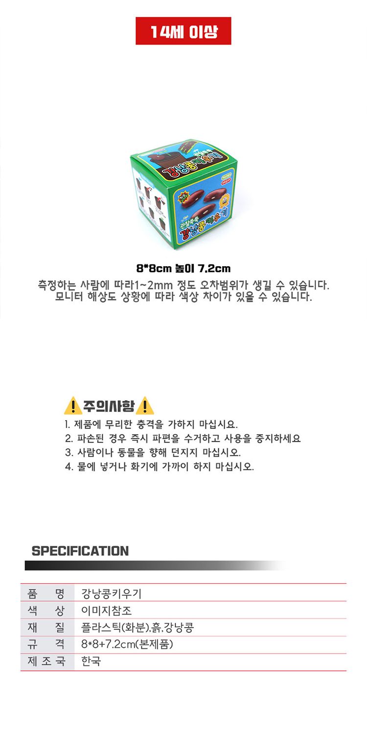 강낭콩 키우기 ver.2/강낭콩/강낭콩키우기/강낭콩재배/강낭콩씨앗키우기/강낭콩씨앗/씨앗키우기/씨앗재배/