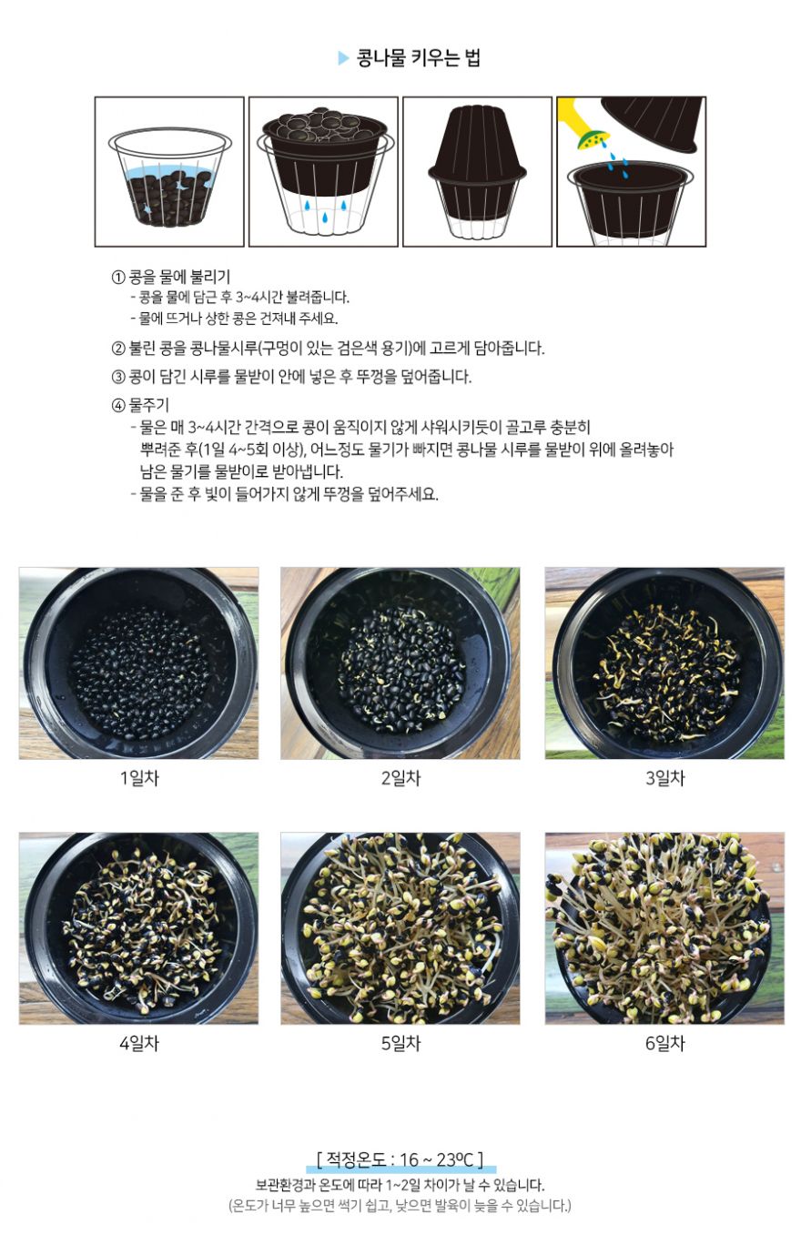 리틀가든 콩나물 키우기/콩나물/콩나물키우기/콩나물재배/콩나물재배기/시루/콩나물시루/콩나물재배키트/재
