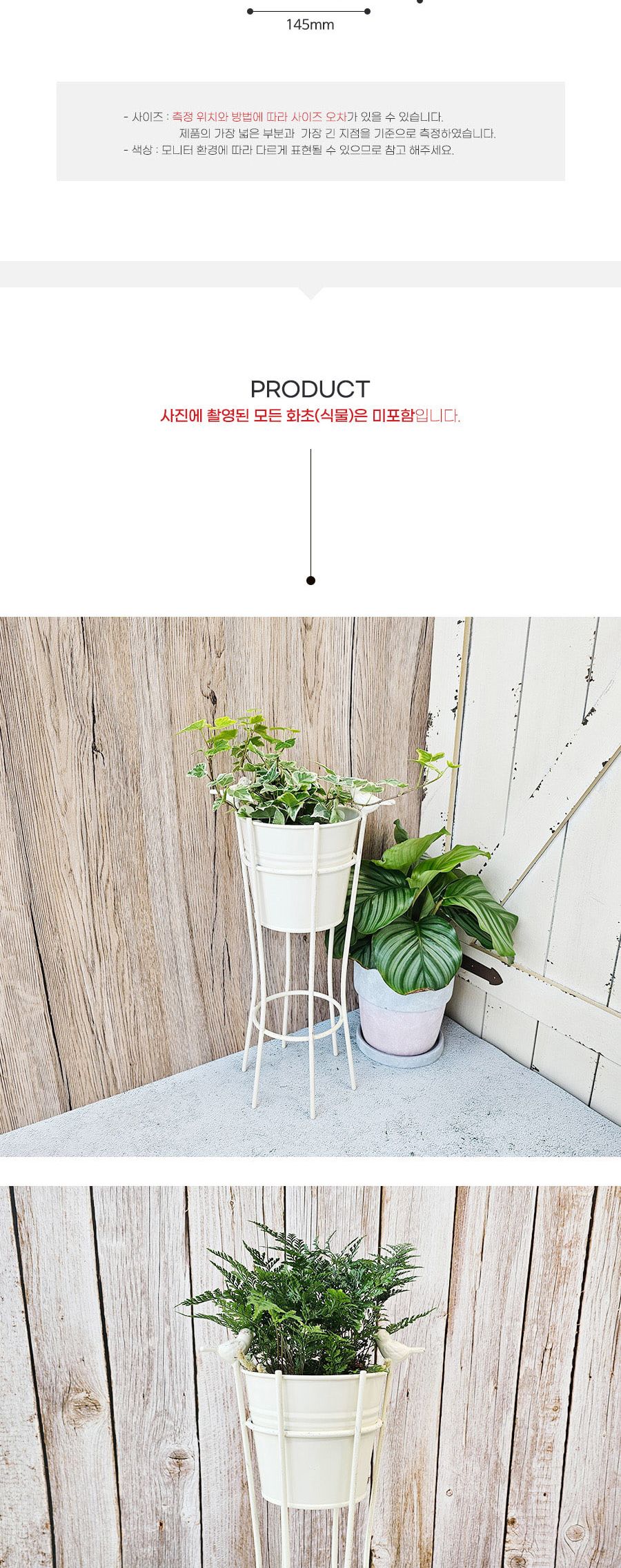 도브 스탠드 화분 아이보리/화분/꽃화분/식물화분/플라워화분/꽃집화분/분배화분/인테리어화분/정원화분/원