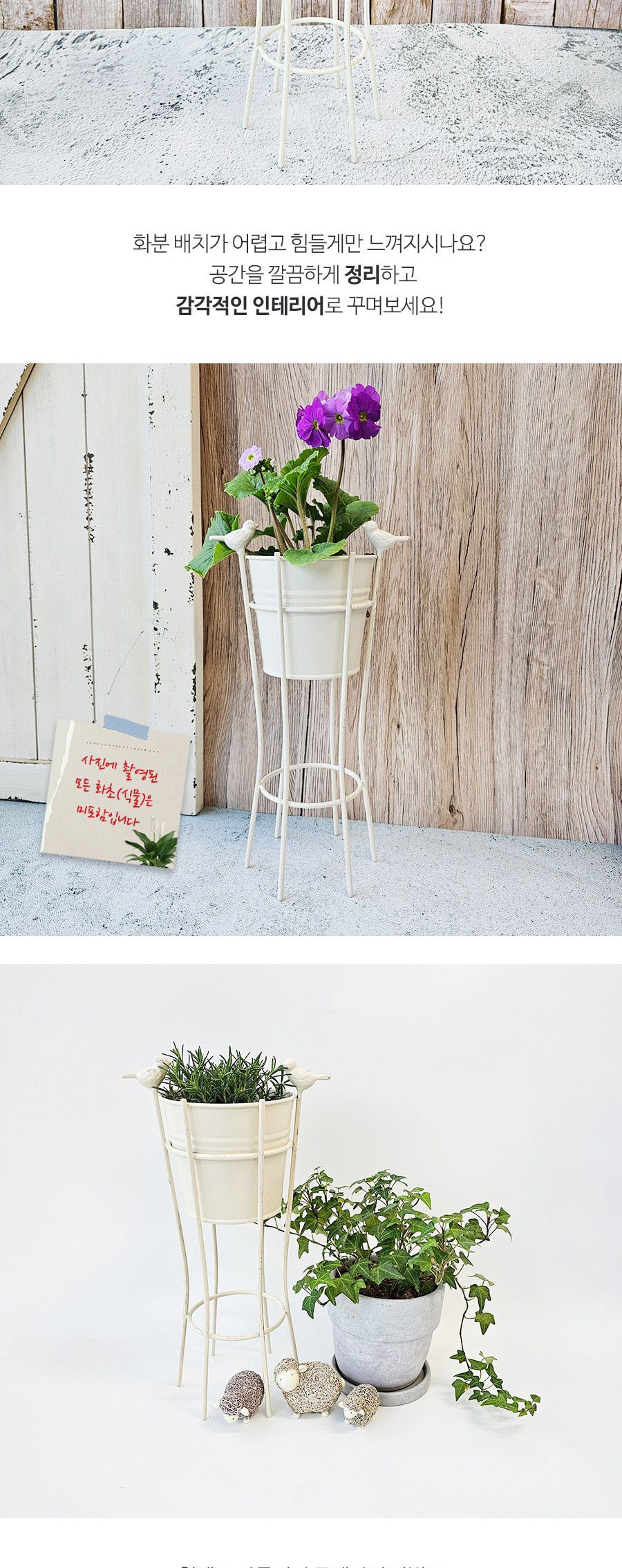 도브 스탠드 화분 아이보리/화분/꽃화분/식물화분/플라워화분/꽃집화분/분배화분/인테리어화분/정원화분/원