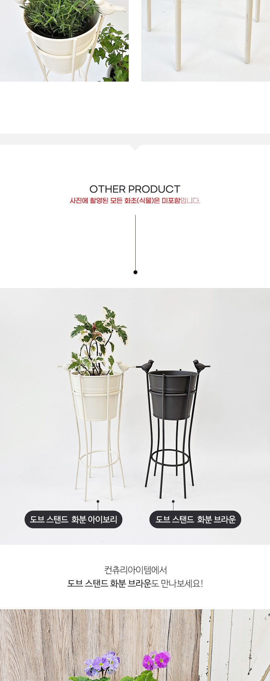 도브 스탠드 화분 아이보리/화분/꽃화분/식물화분/플라워화분/꽃집화분/분배화분/인테리어화분/정원화분/원