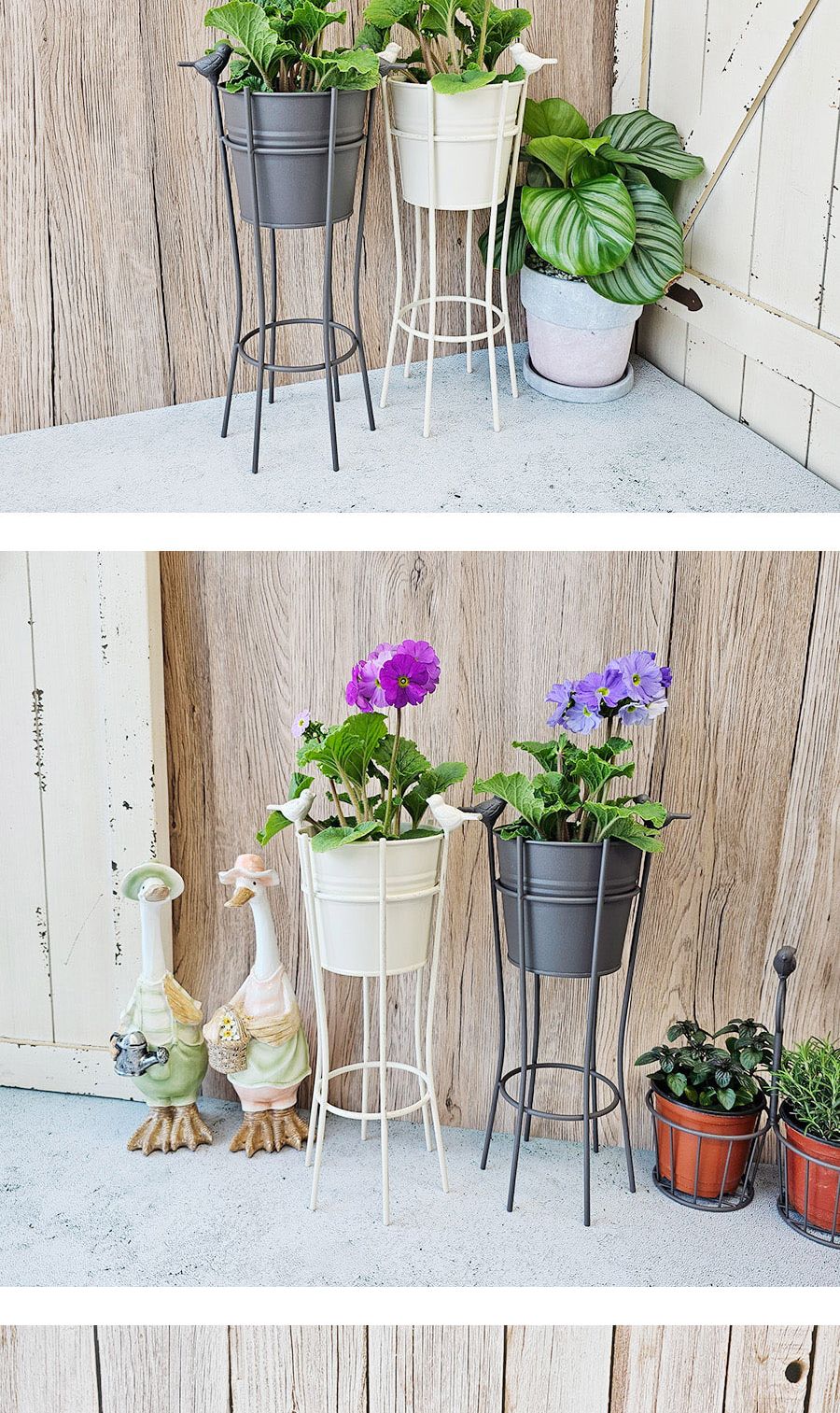 도브 스탠드 화분 아이보리/화분/꽃화분/식물화분/플라워화분/꽃집화분/분배화분/인테리어화분/정원화분/원