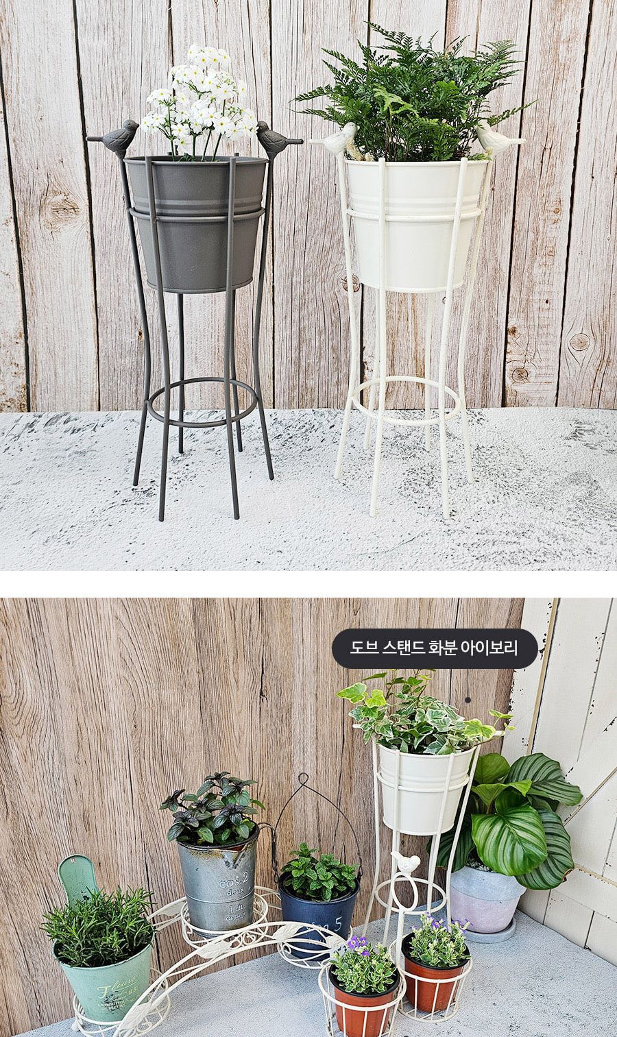 도브 스탠드 화분 아이보리/화분/꽃화분/식물화분/플라워화분/꽃집화분/분배화분/인테리어화분/정원화분/원