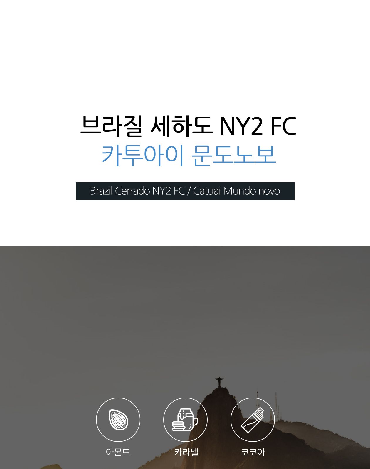 골드빈 커피원두 브라질 세하도 (1KG) 1개/원두커피/분쇄커피/로스팅원두/분쇄원두/홀빈원두/원두가루/로스