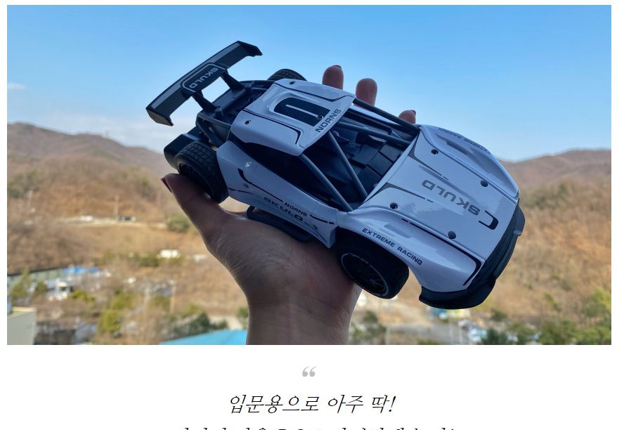 (2.4GHz)1 24 단단한 몸체 메탈 바디 (FL515004WH) 무선조종 R C/레이싱카모형/레이싱조종카/레이싱모형카/
