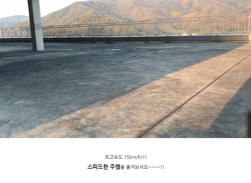 (2.4GHz)1 24 2WD SPEED RACING CAR (QY425019BL) 무선조종 R C/무선조종자동차/무선자동차/무선조종차/무