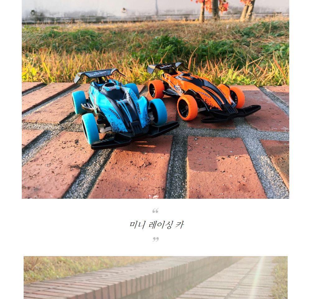 (2.4GHz)1 24 2WD SPEED RACING CAR (QY425019BL) 무선조종 R C/무선조종자동차/무선자동차/무선조종차/무