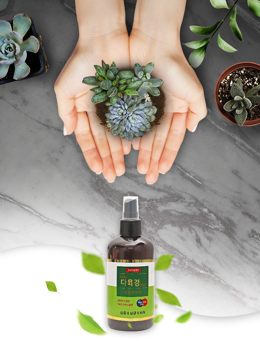 국산 천연 식물영양 벌레제거 다육경 플러스 300ml/다육/다육식물/다육이키우기/영양제/다육전용/식물/원예