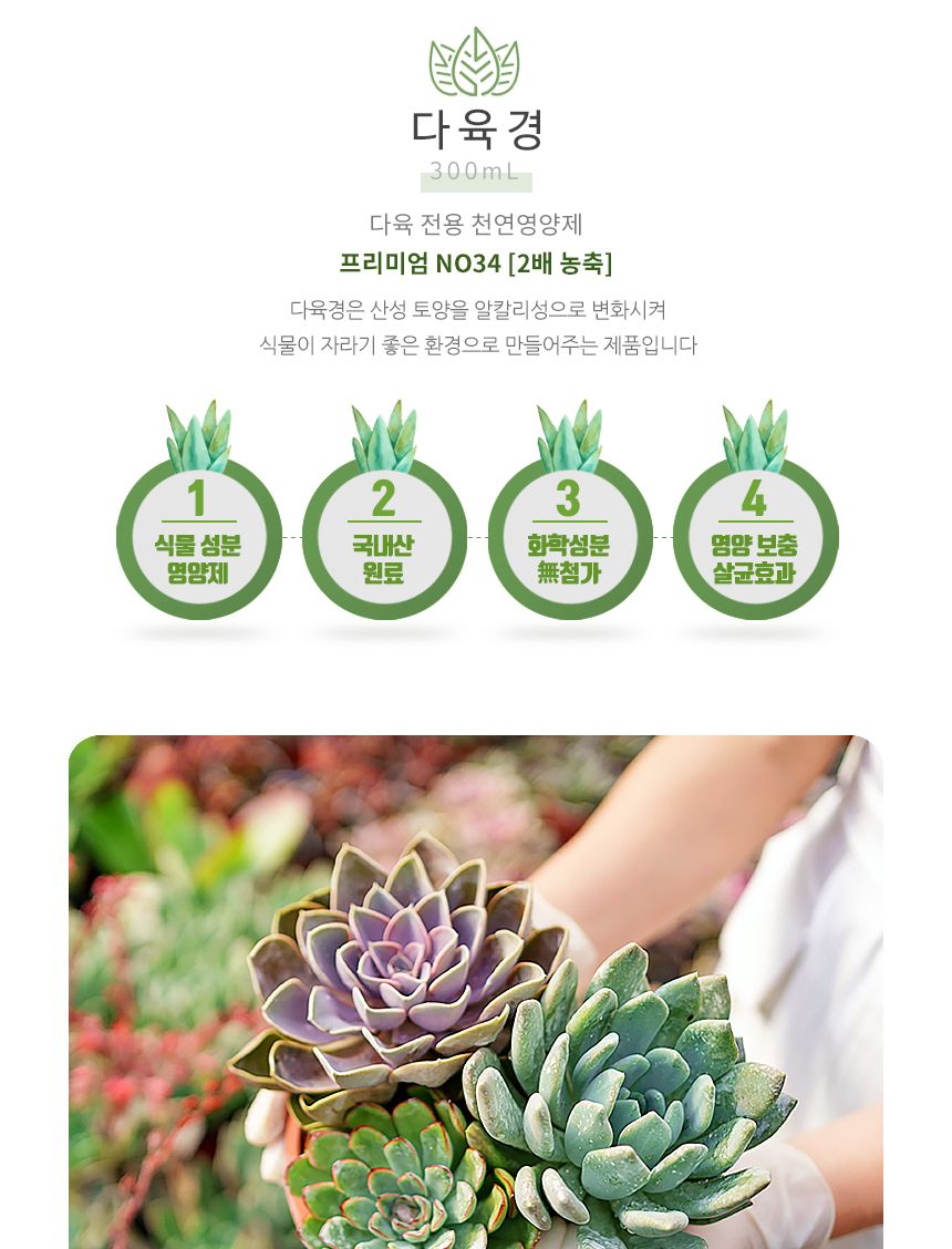 국산 천연 식물영양 벌레제거 다육경 플러스 300ml/다육/다육식물/다육이키우기/영양제/다육전용/식물/원예