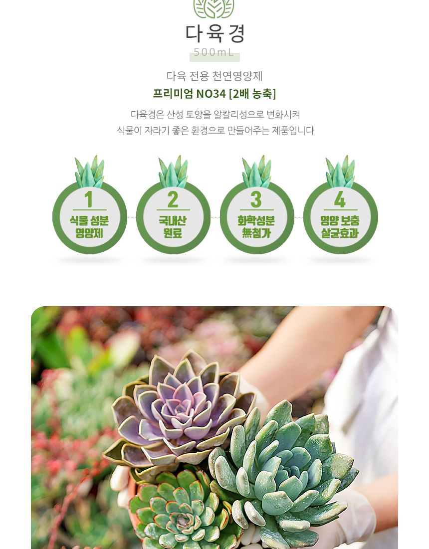 국산 천연 식물영양 벌레제거 다육경 플러스 500ml/다육이키우기/식물키우기/식물용비료/화분키우기/화분비