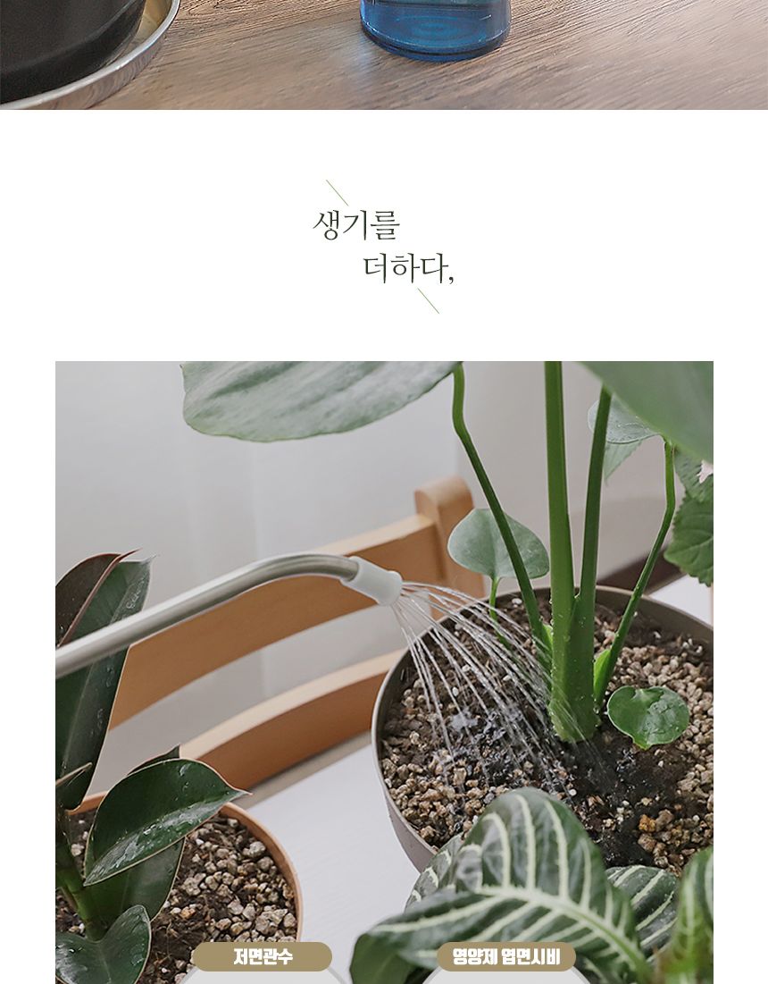 국산 천연 식물영양 벌레제거 다육경 플러스 500ml/다육이키우기/식물키우기/식물용비료/화분키우기/화분비