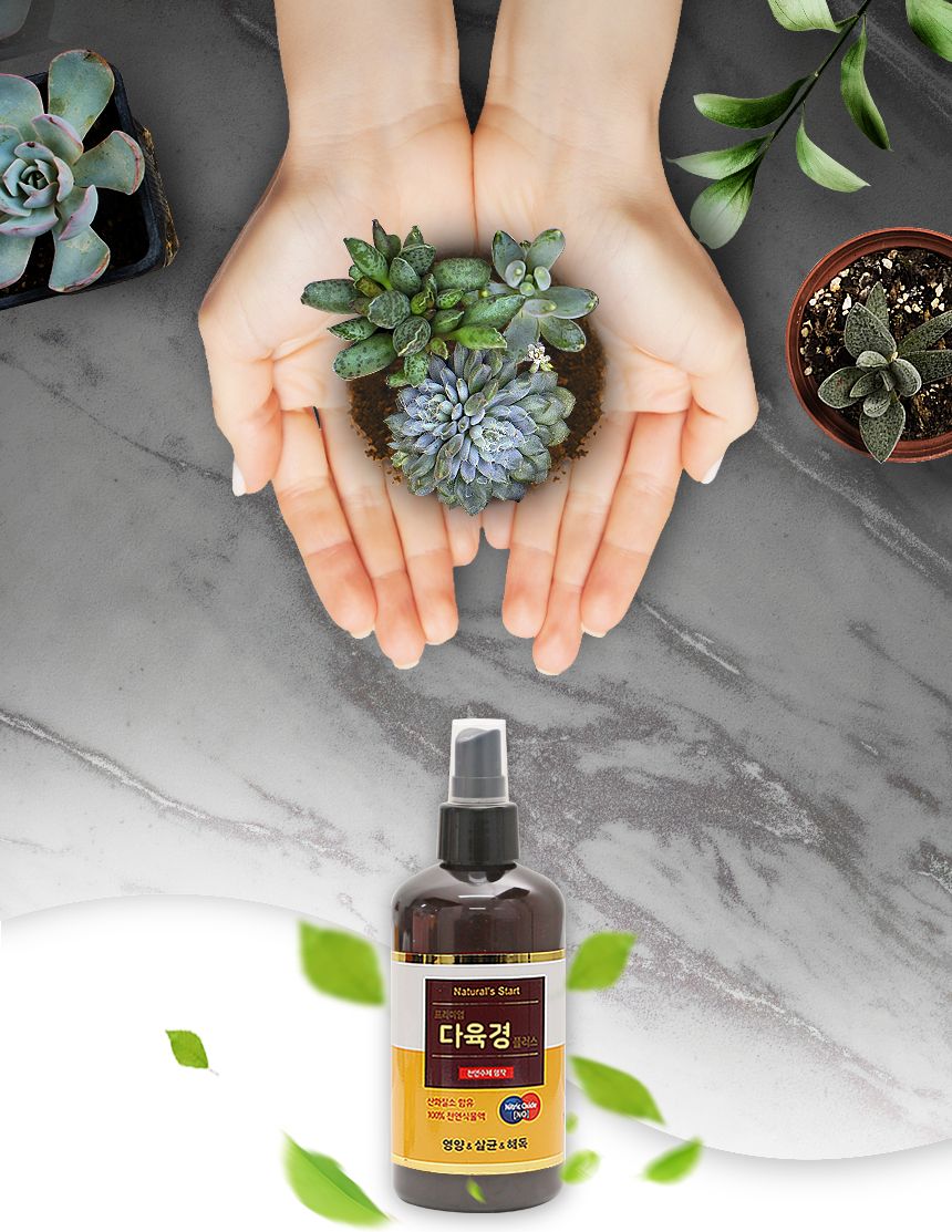 국산 식물영양 살균 다육경 플러스 300ml/다육/다육식물/다육이키우기/영양제/다육전용/식물/원예용/정원/